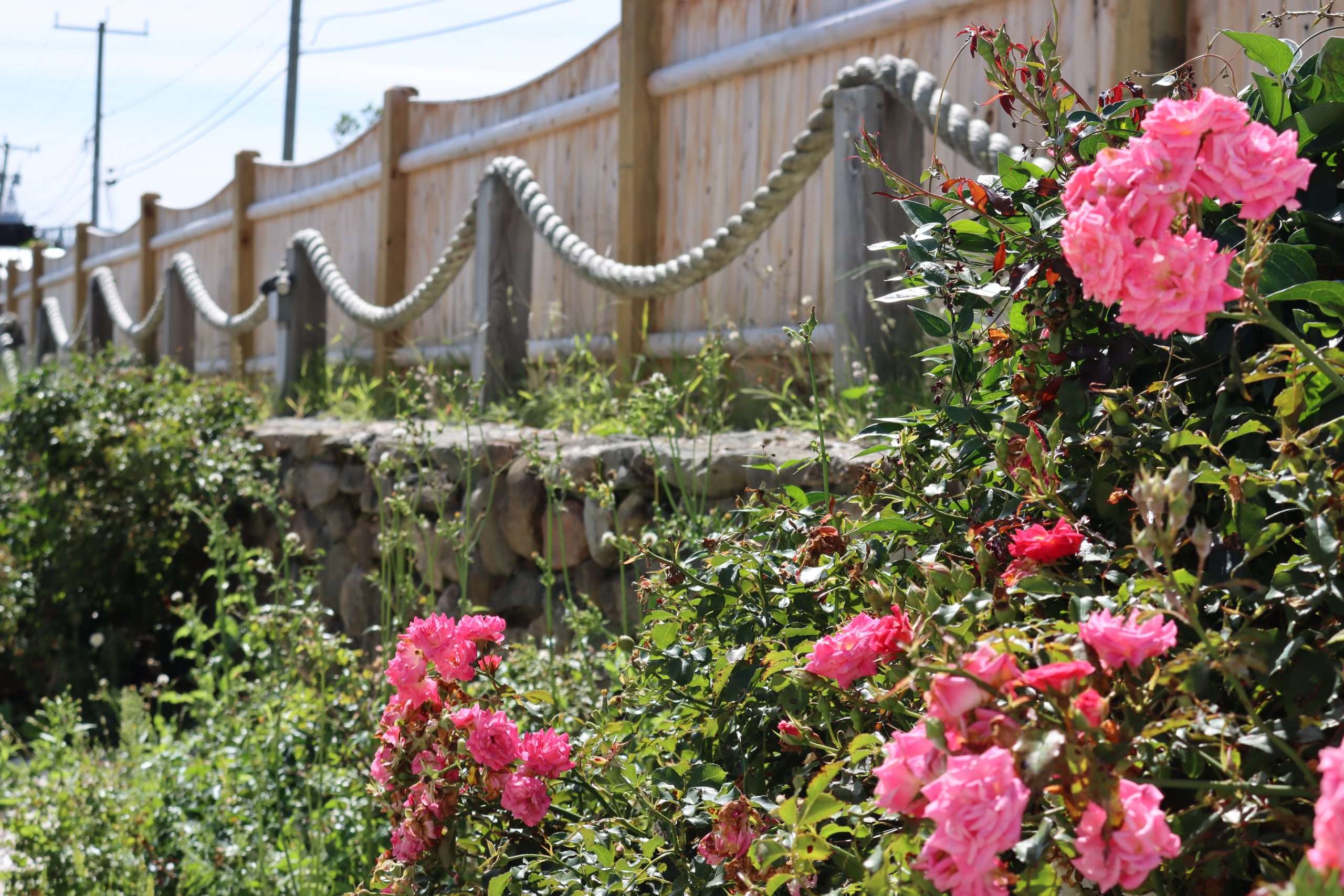 Behavioral Health Crisis Services